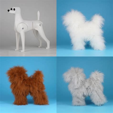 model dogs for grooming